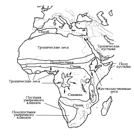 12 500 – 12 000 лет назад