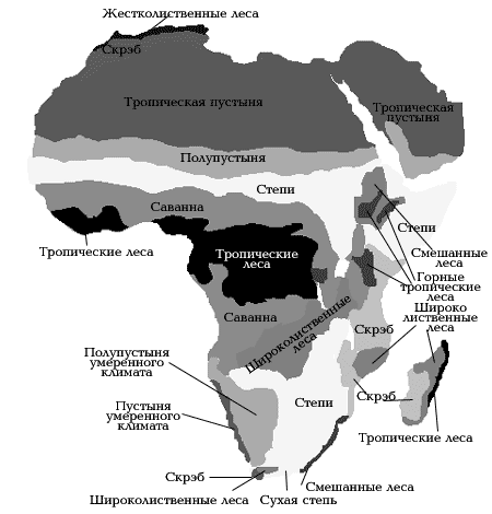 Африка карта растительности
