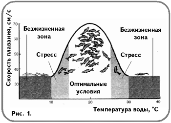 Рис. 1