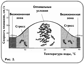 Рис. 2