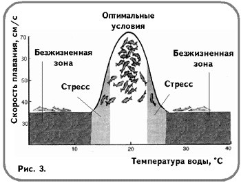 Рис. 3