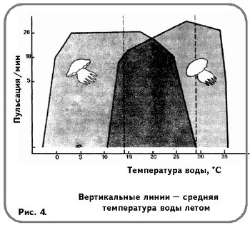 Рис. 4