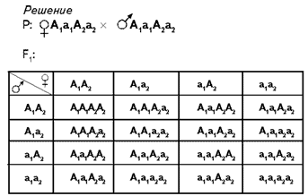 Научная библиотека ТГУ catalog › Results of search for 'su: