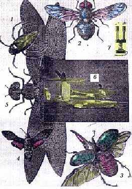 Рис. 10. Полет насекомых