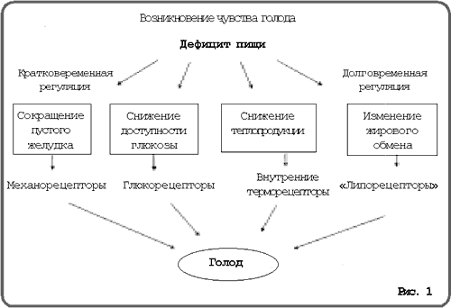 Рис. 1