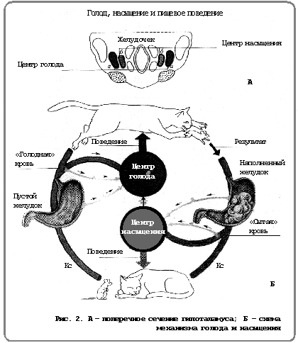 Рис. 2