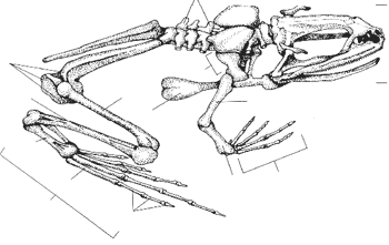 Рис. 14