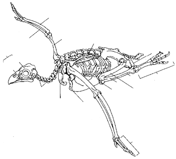 Рис. 16