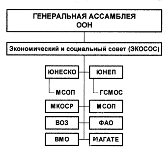 Рис.2. Основные международные природоохранительные организации