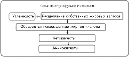 Схема «Контролируемое голодание»