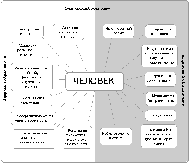 Схема «Здоровый образ жизни»