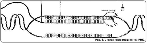 Реле рнк 1у3 схема