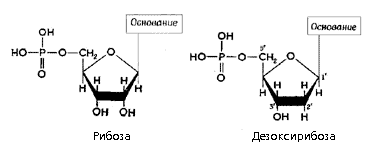 Рис. 1