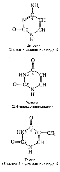 Рис. 2