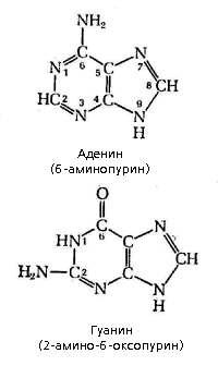 Рис. 3