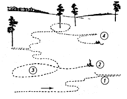 Путь русака к дневной лежке: 1 – вздвойка; 2 – сметка; 3 – петля; 4 – лежка