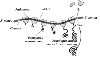 Рис. 3