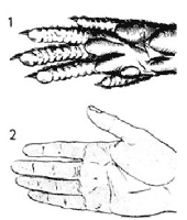 Рис. 10. 