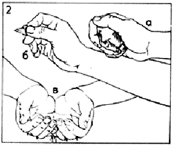 Рис. 2. 