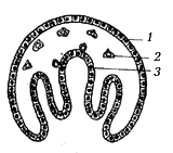 Рис. 17. 