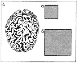 Рис. 4.