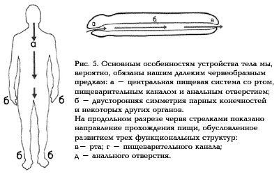 Рис. 5.