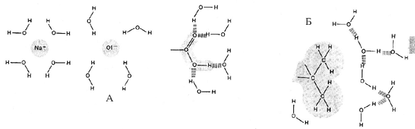 Гидрофильные (А) и гидрофобные (Б) молекулы