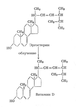 Образование витамина D