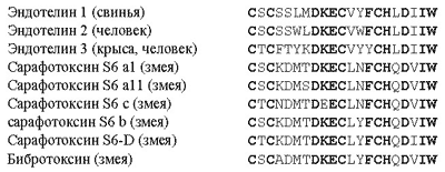 Рис. 14. Первичные структуры структурно-гомологичного семейства эндотелинов / токсинов
