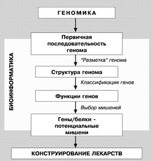 Рис. 18. Взаимосвязь геномики, протеомики и биоинформатики при решении проблемы конструирования новых лекарственных средств