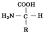 Схема строения аминокислоты