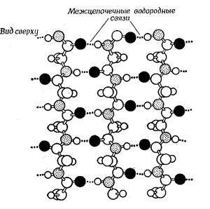 b-слой