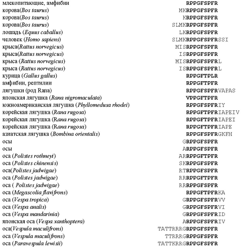 Рис. 13. Первичные структуры природных пептидов брадикининов, полученных из разных живых организмов. Жирным шрифтом указаны квазиконсервативные области