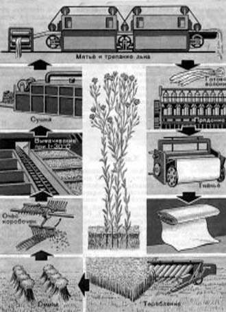 Переработка льна