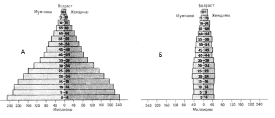 Половозрастные пирамиды: А – для развивающихся стран; Б – для развитых стран