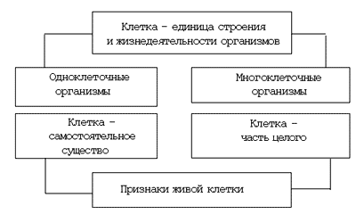 Схема 1