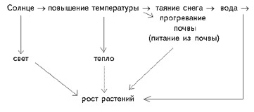 Схема 1. Экологические связи