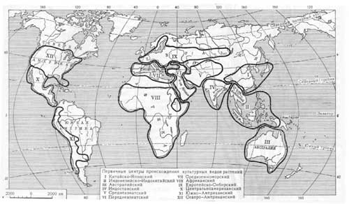 Карта центров происхождения культурных растений