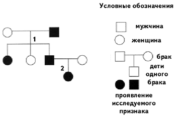 Единый государственный экзамен по биологии (стр. 3 ) | Контент-платформа luchistii-sudak.ru