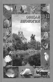 С.Ю. Вертьянова «Общая биология» для 10-11 кл. (М.: Свято-Троицкая Лавра). 