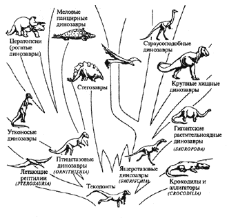 Филогения архозавров (Roemer, 1950)