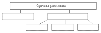 Кто жил в семье борьки заполните схему