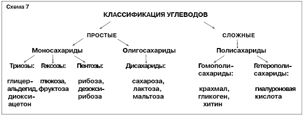 Схема 14 классификация углеводов