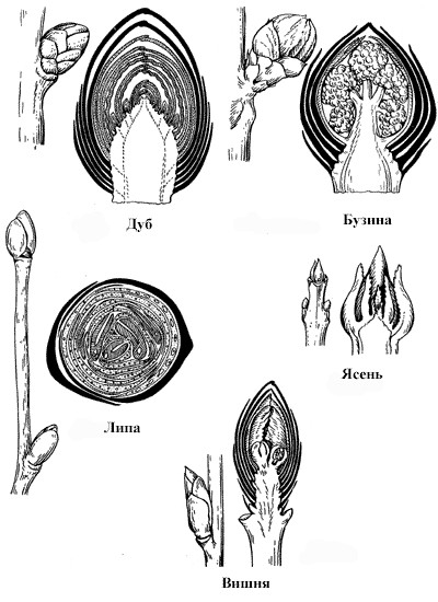 Лист 14