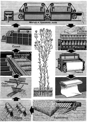 Схема получения полотна льна