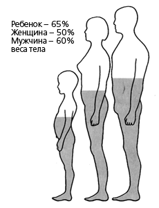Содержание воды в теле