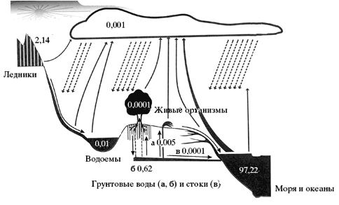 Круговорот воды и распределение ее на Земле (%)