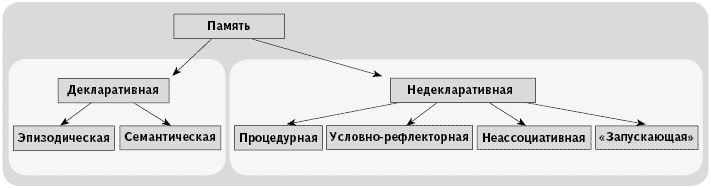 Рис. 2. Виды памяти