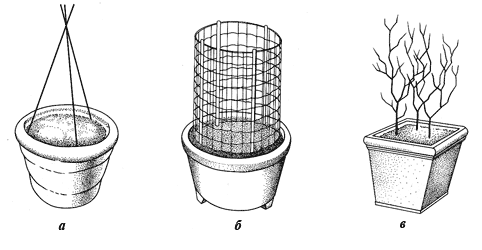 Опоры для растений: а – пирамида из прутьев; б – цилиндр из сетки; в – сухие ветки