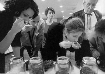 Венский Институт экспертов кофе